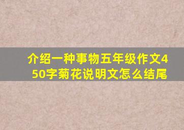 介绍一种事物五年级作文450字菊花说明文怎么结尾