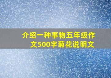 介绍一种事物五年级作文500字菊花说明文