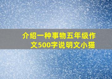 介绍一种事物五年级作文500字说明文小猫