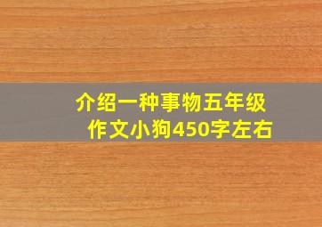 介绍一种事物五年级作文小狗450字左右