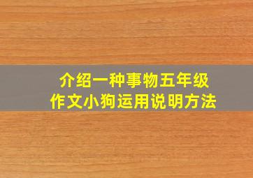 介绍一种事物五年级作文小狗运用说明方法