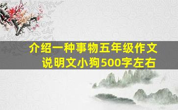 介绍一种事物五年级作文说明文小狗500字左右