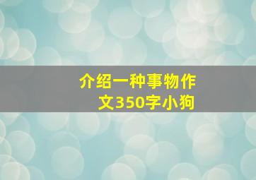 介绍一种事物作文350字小狗