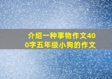 介绍一种事物作文400字五年级小狗的作文