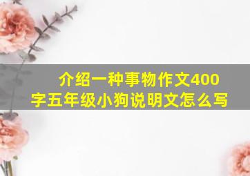 介绍一种事物作文400字五年级小狗说明文怎么写