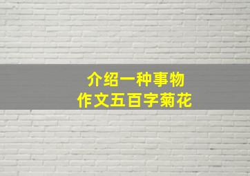 介绍一种事物作文五百字菊花