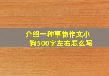 介绍一种事物作文小狗500字左右怎么写