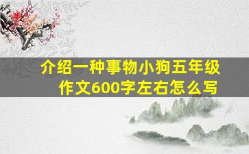 介绍一种事物小狗五年级作文600字左右怎么写