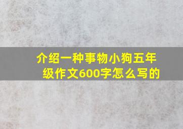 介绍一种事物小狗五年级作文600字怎么写的