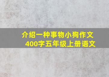 介绍一种事物小狗作文400字五年级上册语文