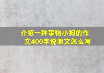 介绍一种事物小狗的作文400字说明文怎么写