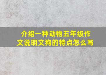 介绍一种动物五年级作文说明文狗的特点怎么写