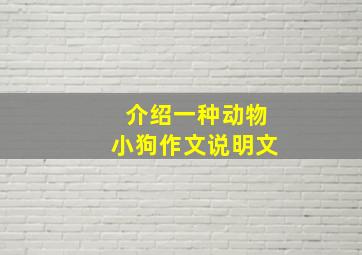 介绍一种动物小狗作文说明文