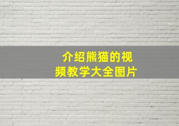 介绍熊猫的视频教学大全图片