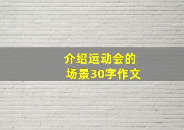 介绍运动会的场景30字作文