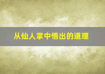 从仙人掌中悟出的道理