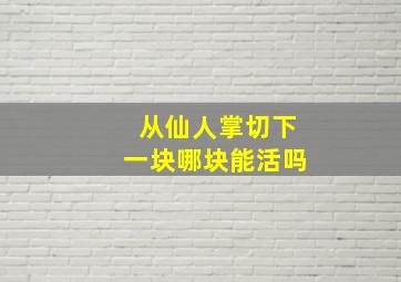 从仙人掌切下一块哪块能活吗