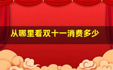 从哪里看双十一消费多少