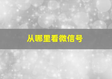 从哪里看微信号