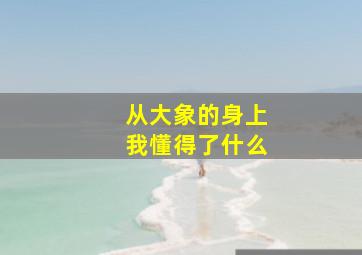 从大象的身上我懂得了什么