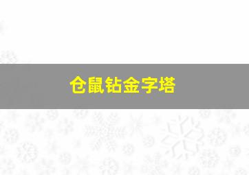 仓鼠钻金字塔