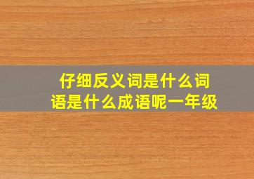 仔细反义词是什么词语是什么成语呢一年级