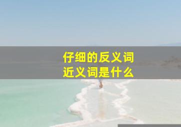 仔细的反义词近义词是什么