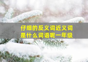 仔细的反义词近义词是什么词语呢一年级