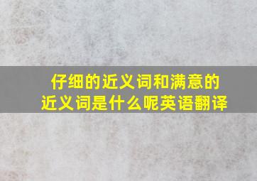 仔细的近义词和满意的近义词是什么呢英语翻译