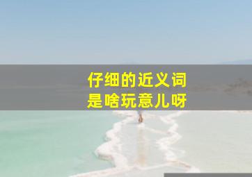 仔细的近义词是啥玩意儿呀