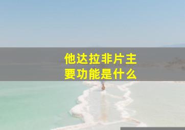 他达拉非片主要功能是什么