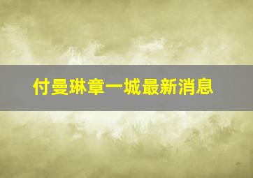 付曼琳章一城最新消息