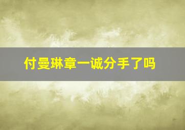 付曼琳章一诚分手了吗