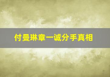 付曼琳章一诚分手真相