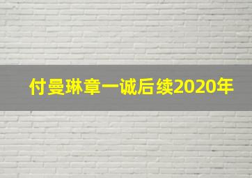 付曼琳章一诚后续2020年