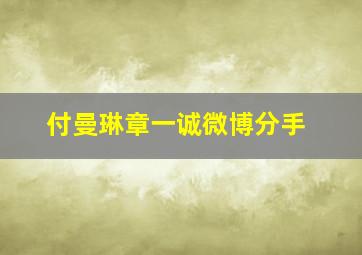 付曼琳章一诚微博分手