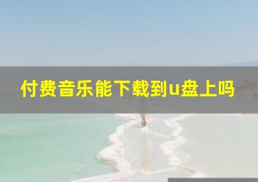 付费音乐能下载到u盘上吗