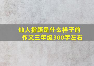 仙人指路是什么样子的作文三年级300字左右