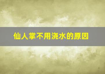 仙人掌不用浇水的原因