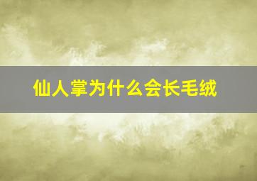 仙人掌为什么会长毛绒