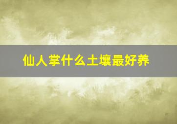 仙人掌什么土壤最好养