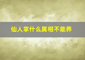 仙人掌什么属相不能养