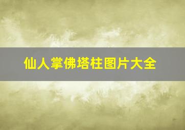 仙人掌佛塔柱图片大全