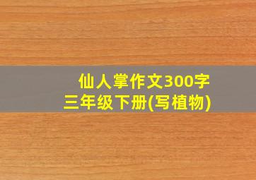 仙人掌作文300字三年级下册(写植物)