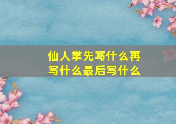 仙人掌先写什么再写什么最后写什么