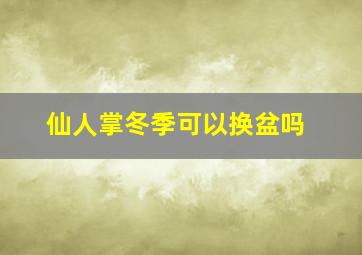 仙人掌冬季可以换盆吗