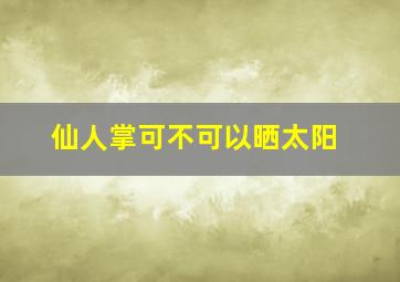 仙人掌可不可以晒太阳