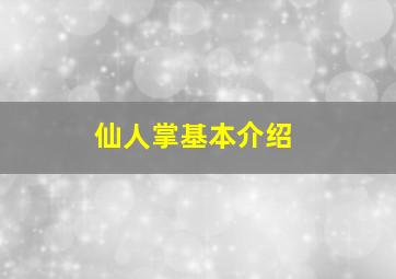 仙人掌基本介绍