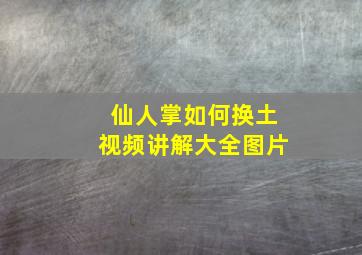 仙人掌如何换土视频讲解大全图片