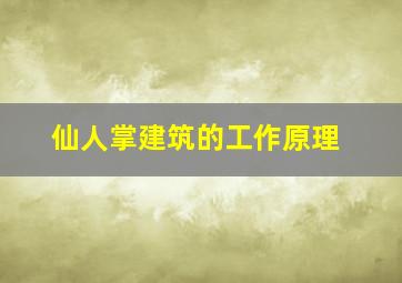 仙人掌建筑的工作原理